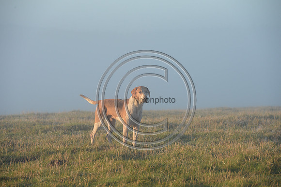 United_Hunting_PN22_54246