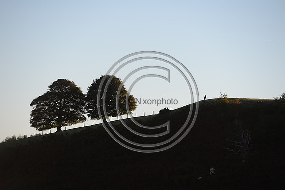 United_Hunting_PN22_54275