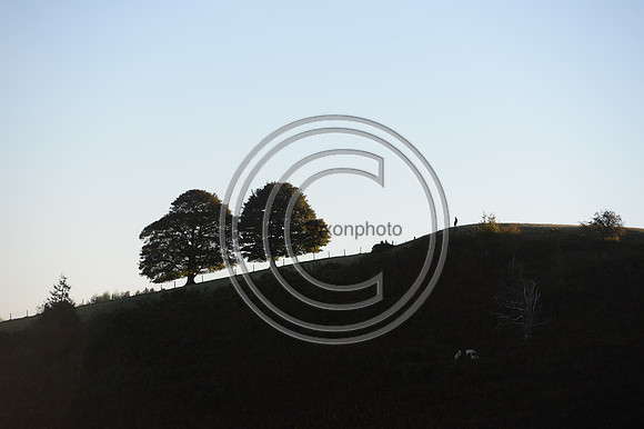 United_Hunting_PN22_54276
