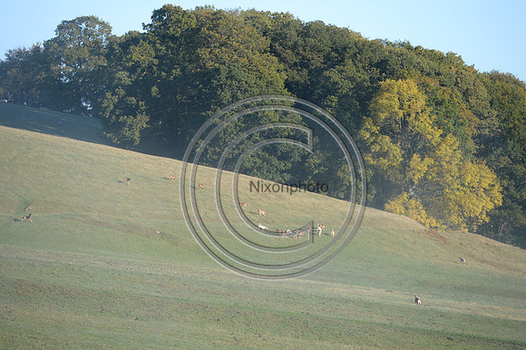 United_Hunting_PN22_54281