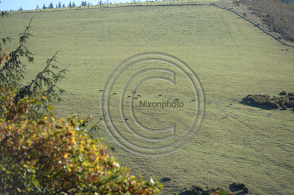 United_Hunting_PN22_54289