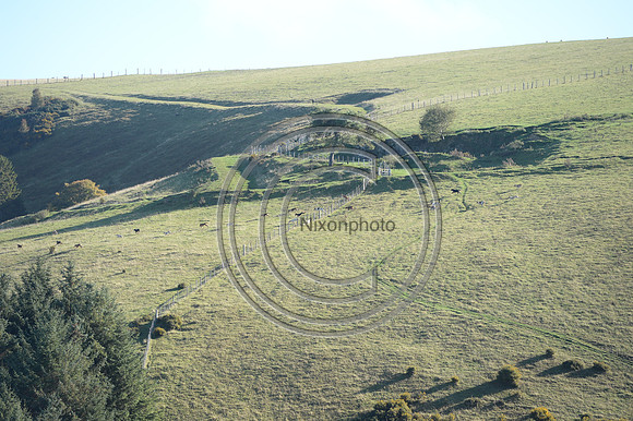 United_Hunting_PN22_54291