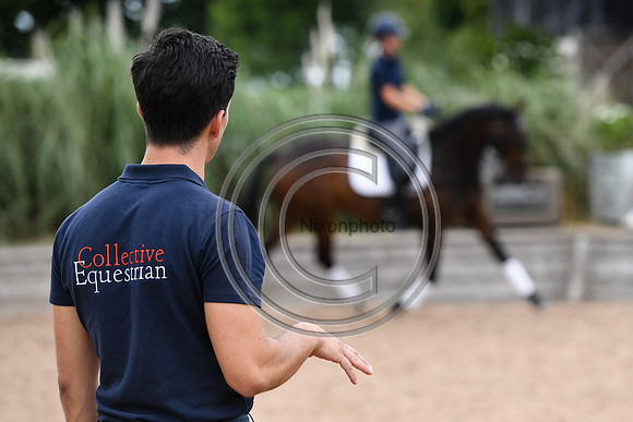 Collective Equestrian