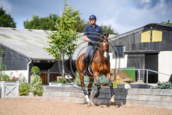 Collective Equestrian