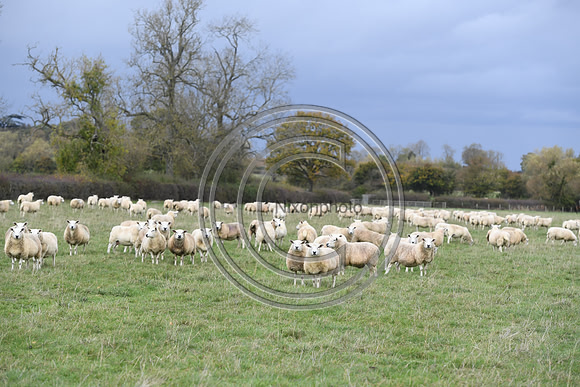 Heythrop_OpeningM_Hunting_PN22_54558