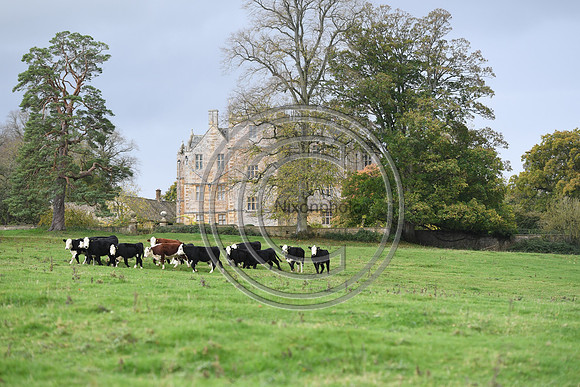 Heythrop_OpeningM_Hunting_PN22_54672