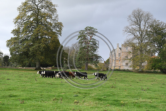 Heythrop_OpeningM_Hunting_PN22_54673