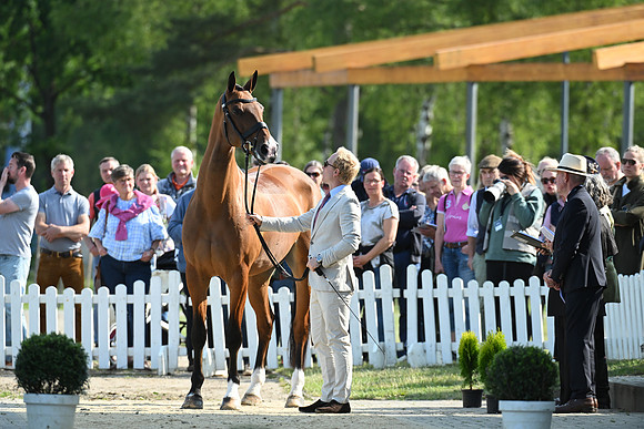 Longines Luhmühlen Horse Trials