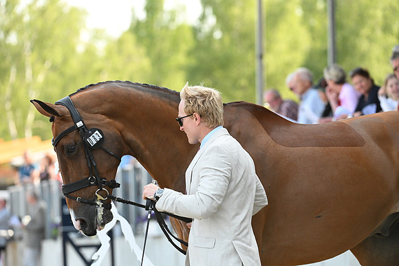 Longines Luhmühlen Horse Trials