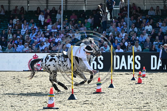 DAKS_PC_RWHS25_P190001