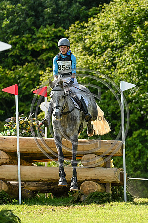 Cornbury House International & Young Horse Championship