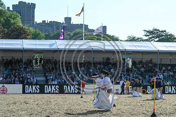 DAKS_PC_RWHS25_P190005
