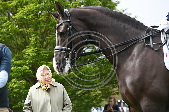 Valegro_RWHS_PN19_13010