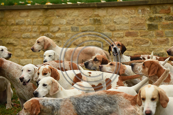 Heythrop_Hunting_PN9099