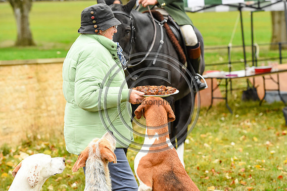 Heythrop Hunt