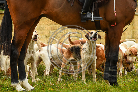 Heythrop Hunt