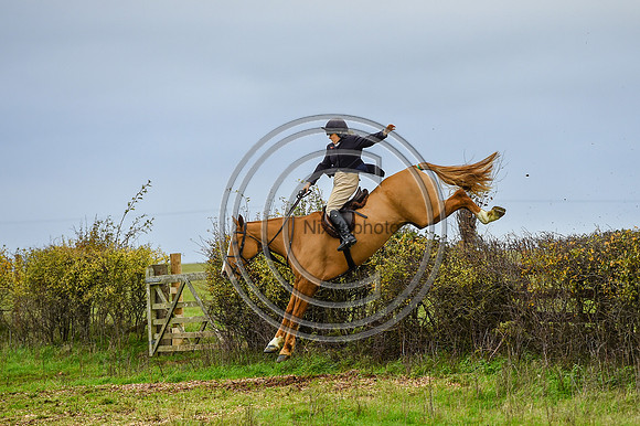 Heythrop Hunt