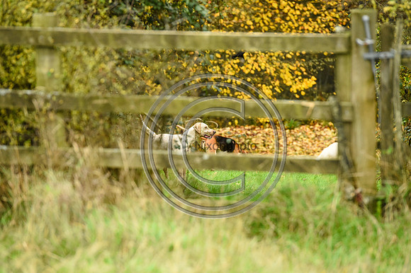Heythrop Hunt