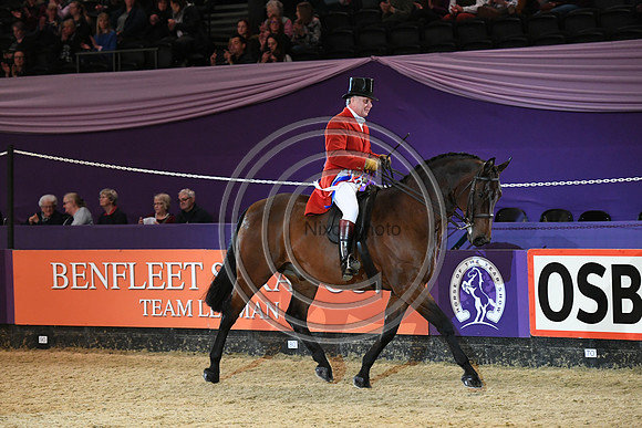 HOYS  04 10 2018