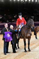 HOYS  04 10 2018