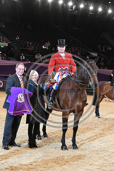HOYS  04 10 2018