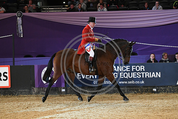 HOYS  04 10 2018