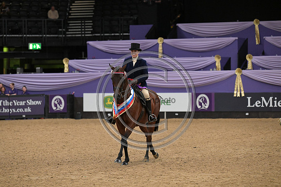 HOYS