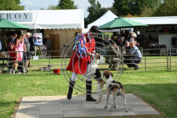 Festival of Hounds 2024