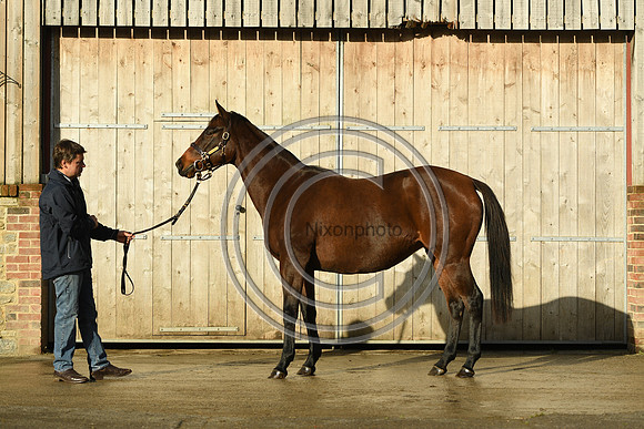 Mare1_Selwood_PN22_55063