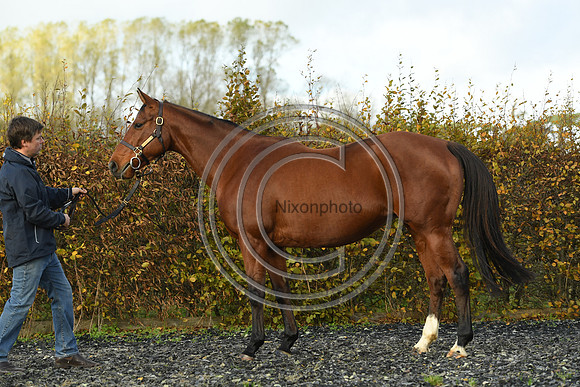 Mare4_Selwood_PN22_55273