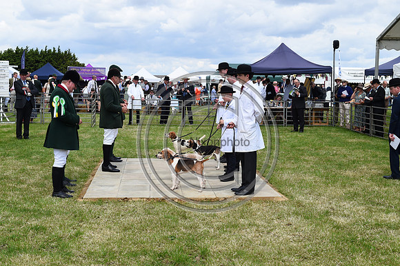 Festival of Hounds 2024