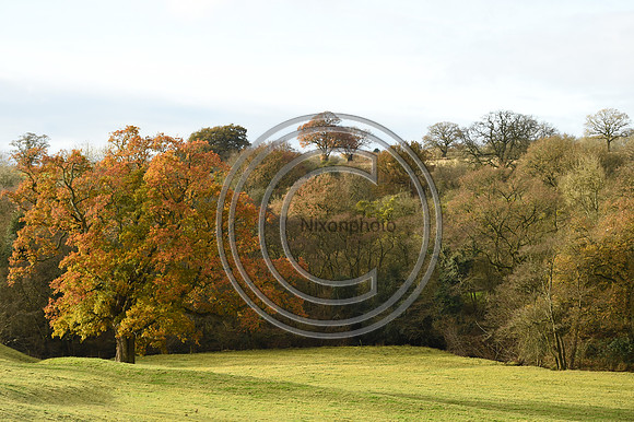 Ludlow_Hunting_233