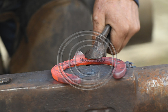 Nigel Perrott_Farrier_PN20_51829