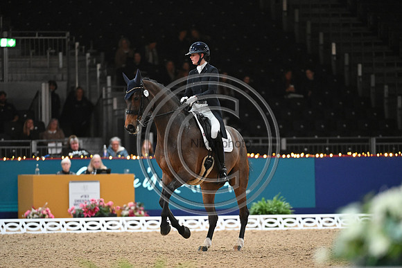 London International Horse Show