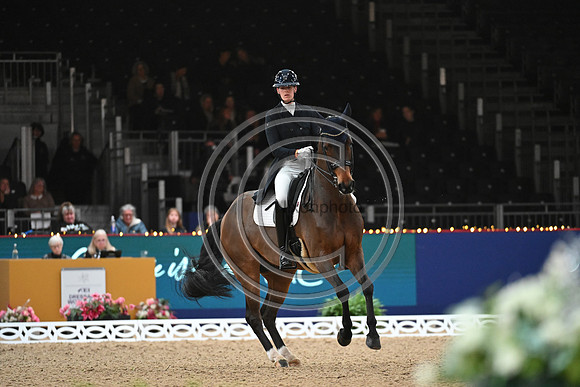 London International Horse Show