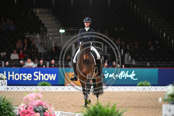 London International Horse Show