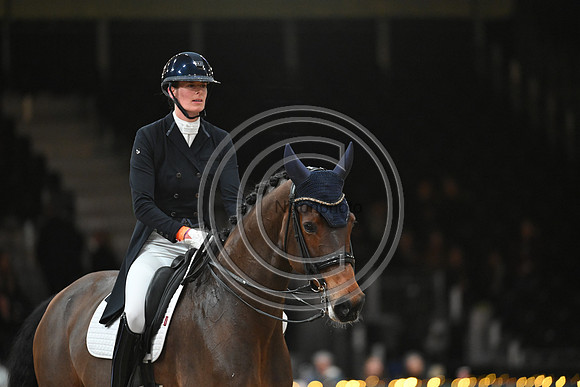 London International Horse Show