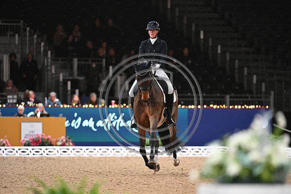 London International Horse Show