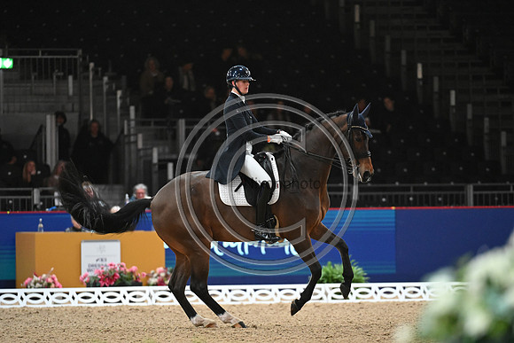 London International Horse Show