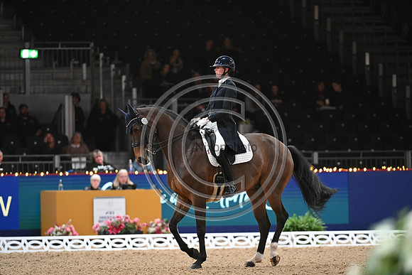 London International Horse Show