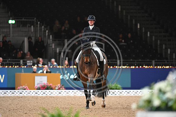 London International Horse Show