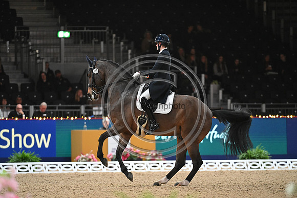 London International Horse Show