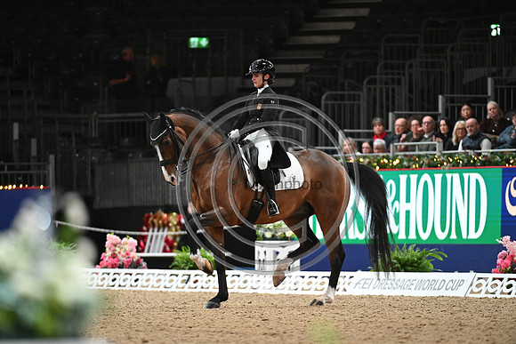 London International Horse Show
