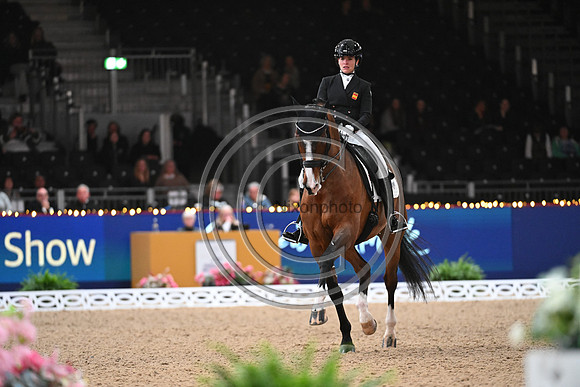 London International Horse Show