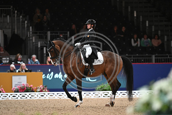London International Horse Show