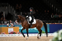 London International Horse Show