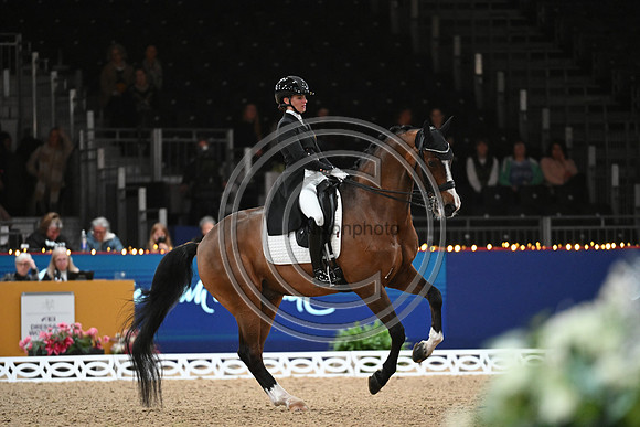 London International Horse Show