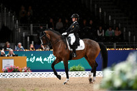 London International Horse Show