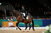 London International Horse Show