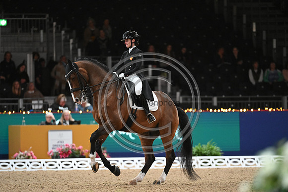 London International Horse Show
